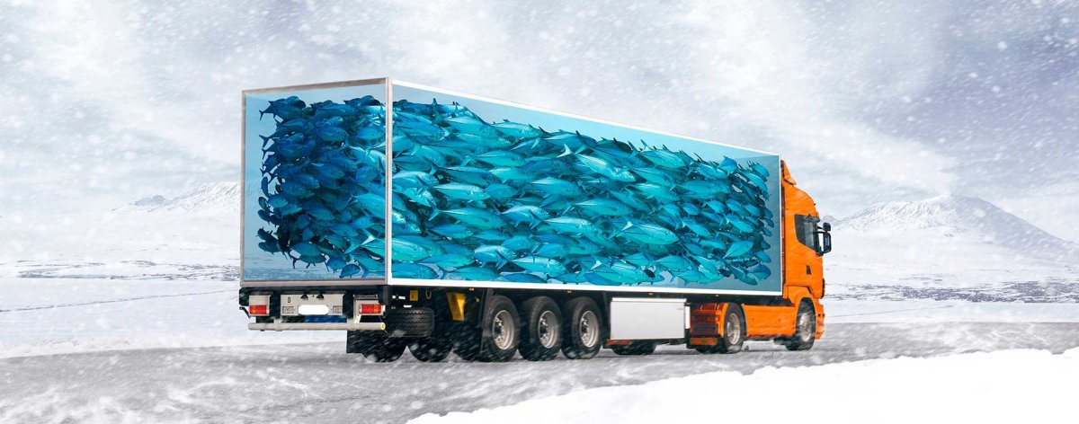 Транспортировка рыбы