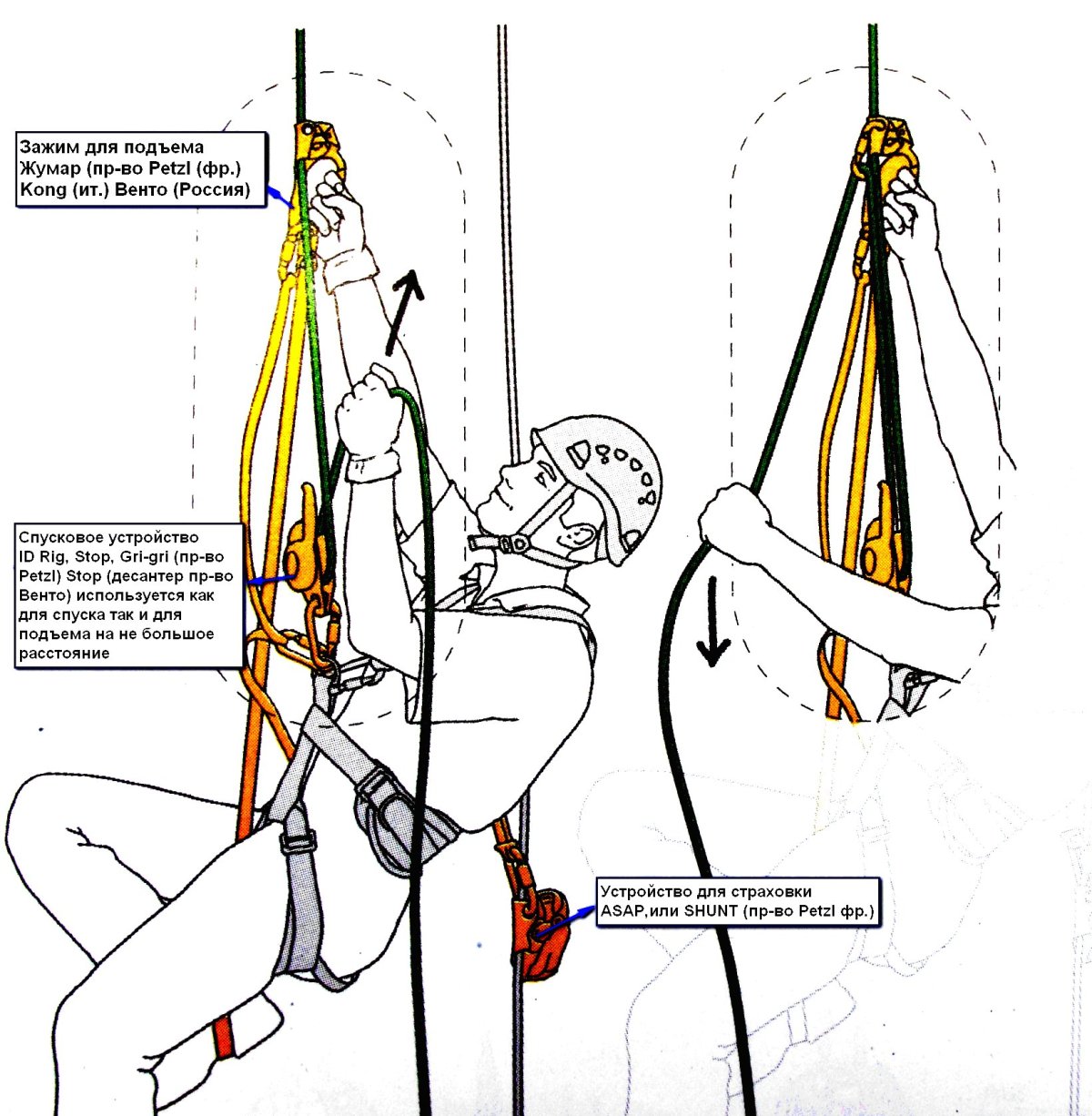 Схема подъема на 2 жумарах