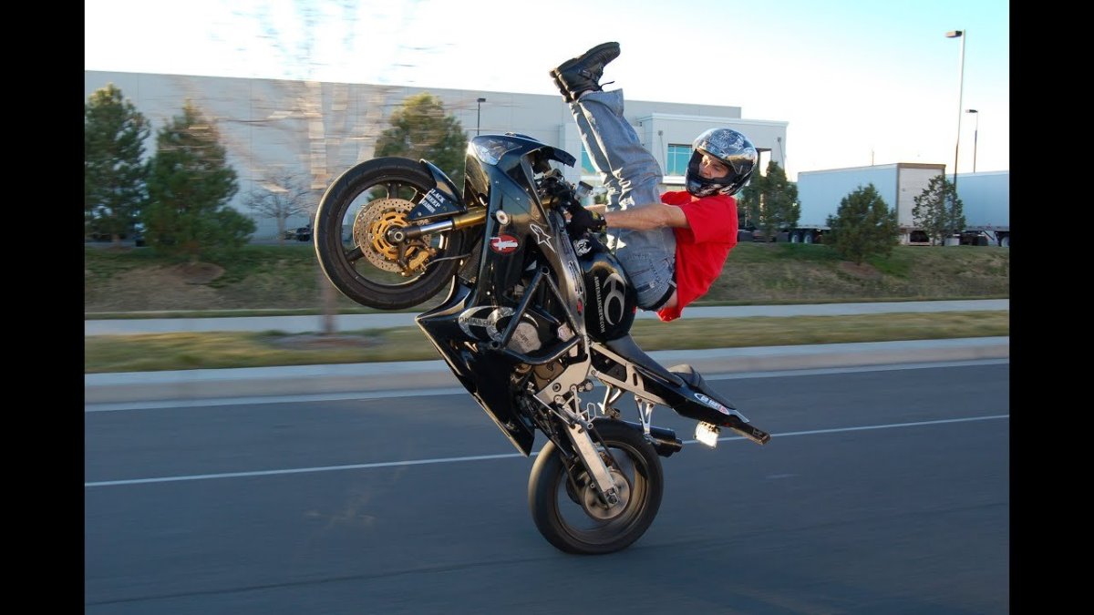 Вилли стант