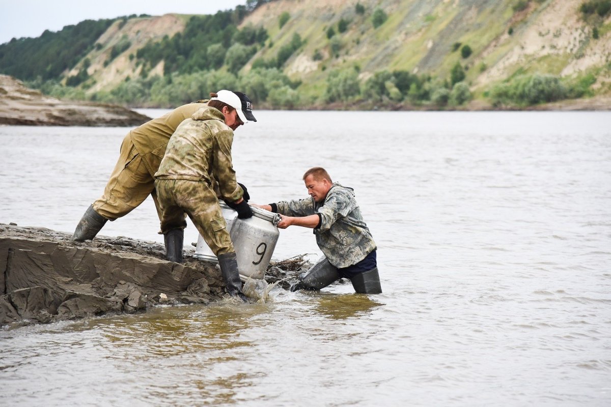 Веселовское водохранилище