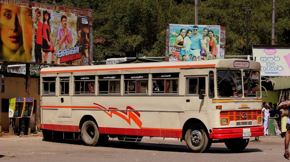 Tata Bus