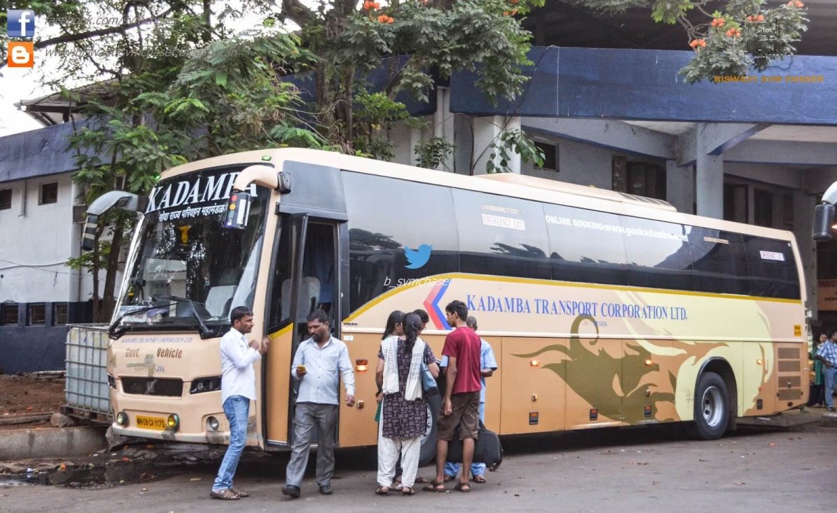 Автобус с гамами