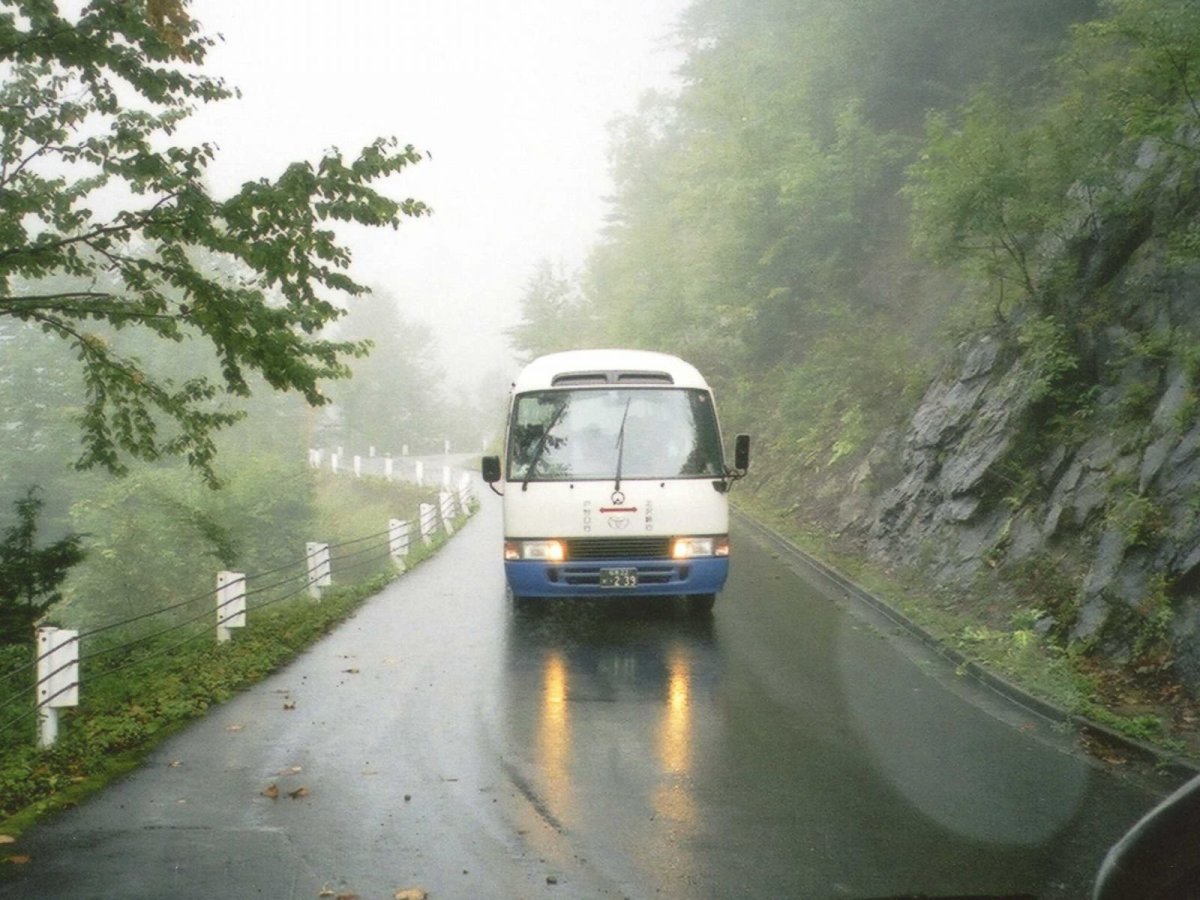 Автобус, деревня Ляшкова