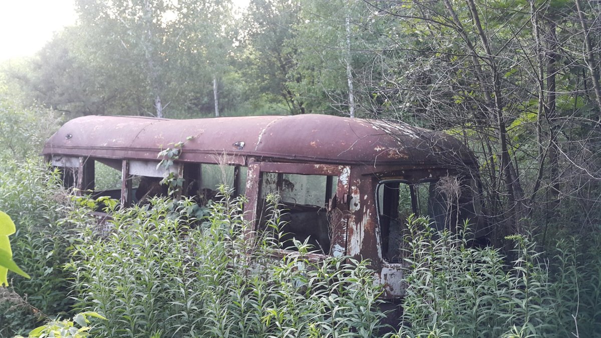 Заброшенные автомобили автобус