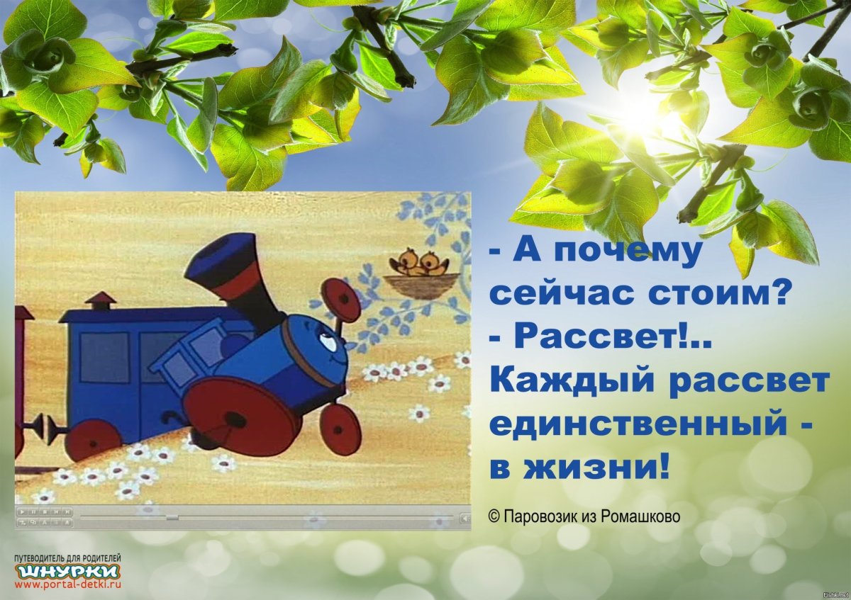 Паравощик из Ромашкова цитаты