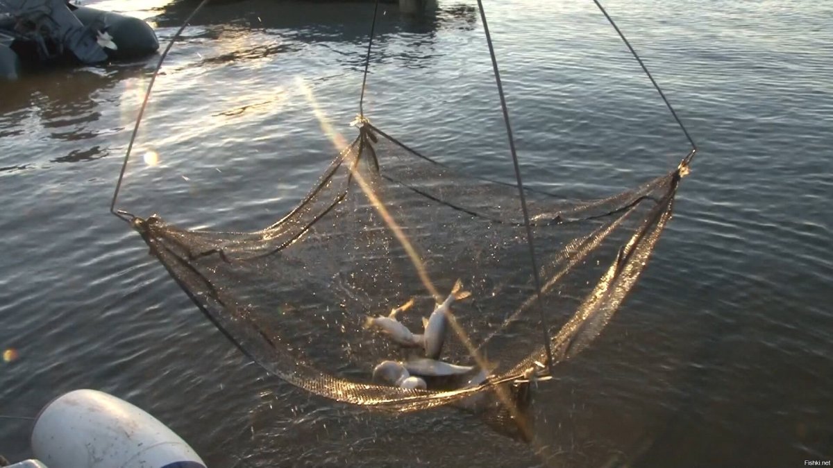 Браконьерская снасть паук