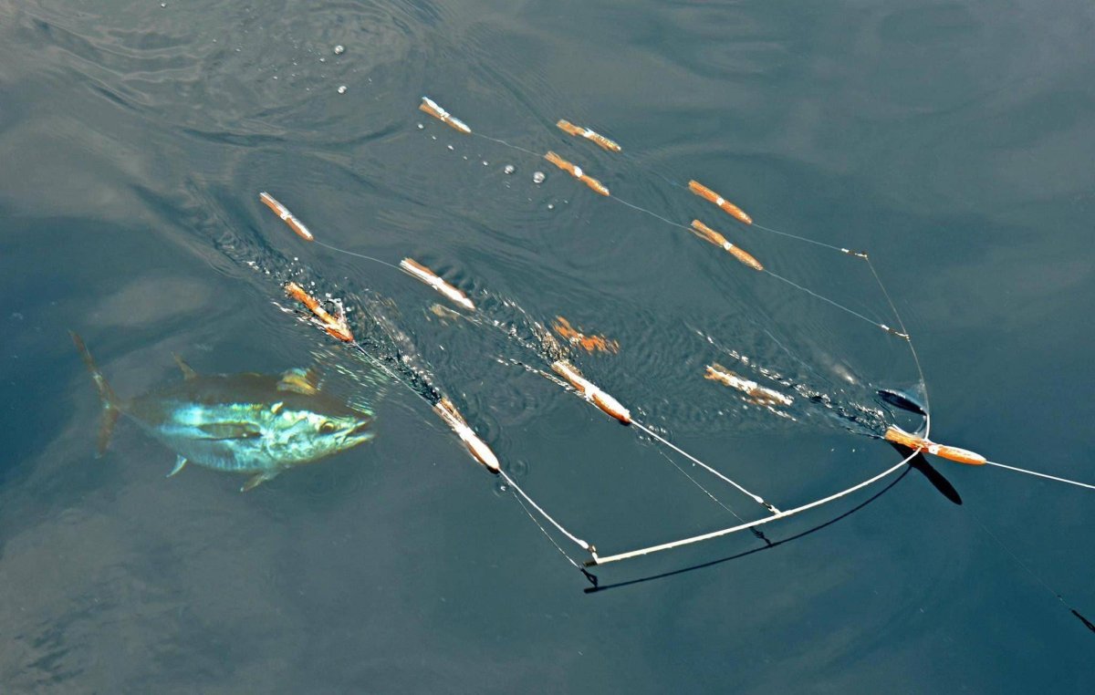 Снасть на ТРОЛЛИНГ тунца