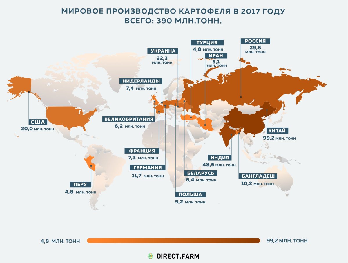 Страны Лидеры по производству картофеля