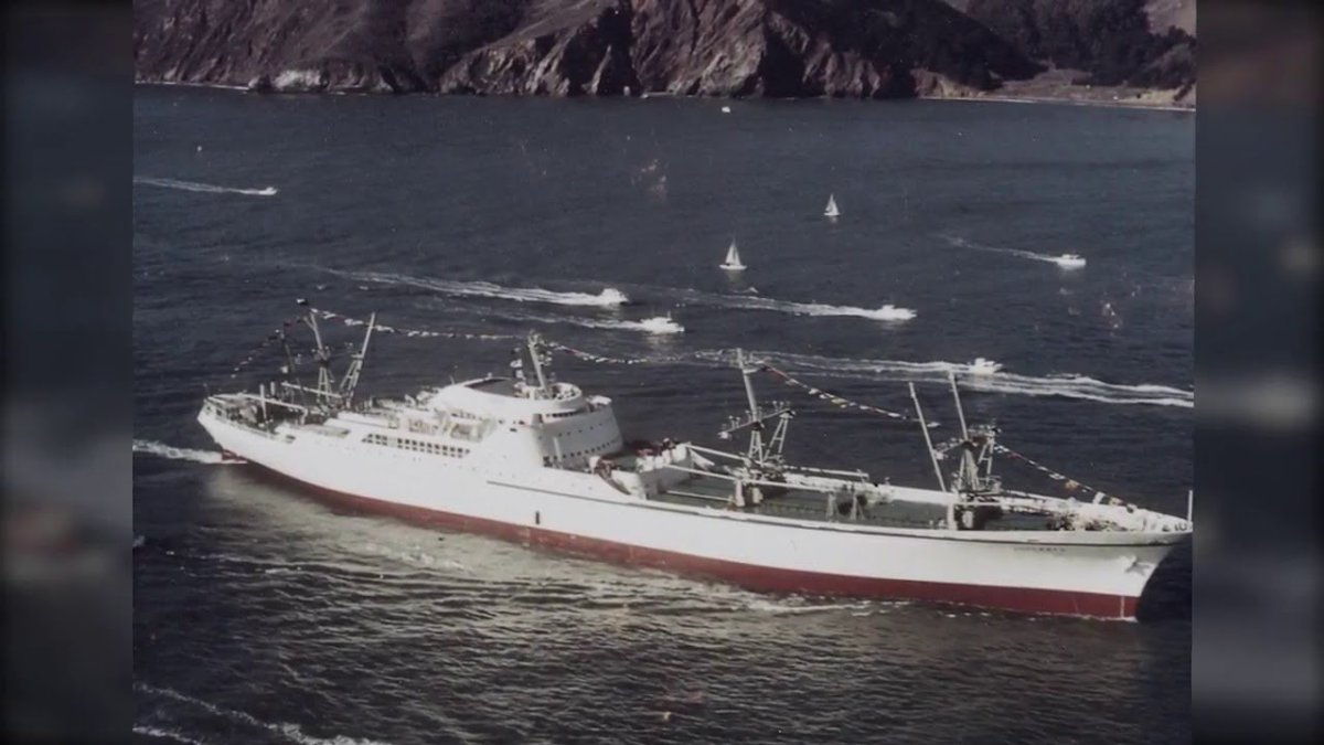 Саванна атомоход