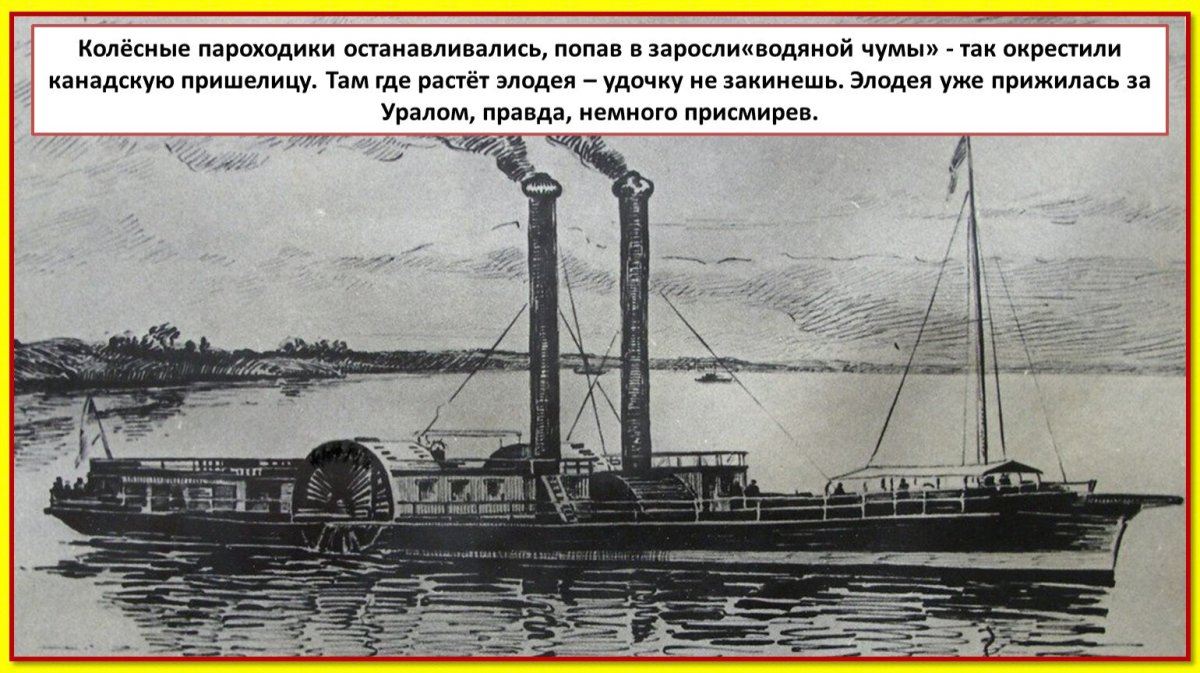 Роберт Фултон пароход