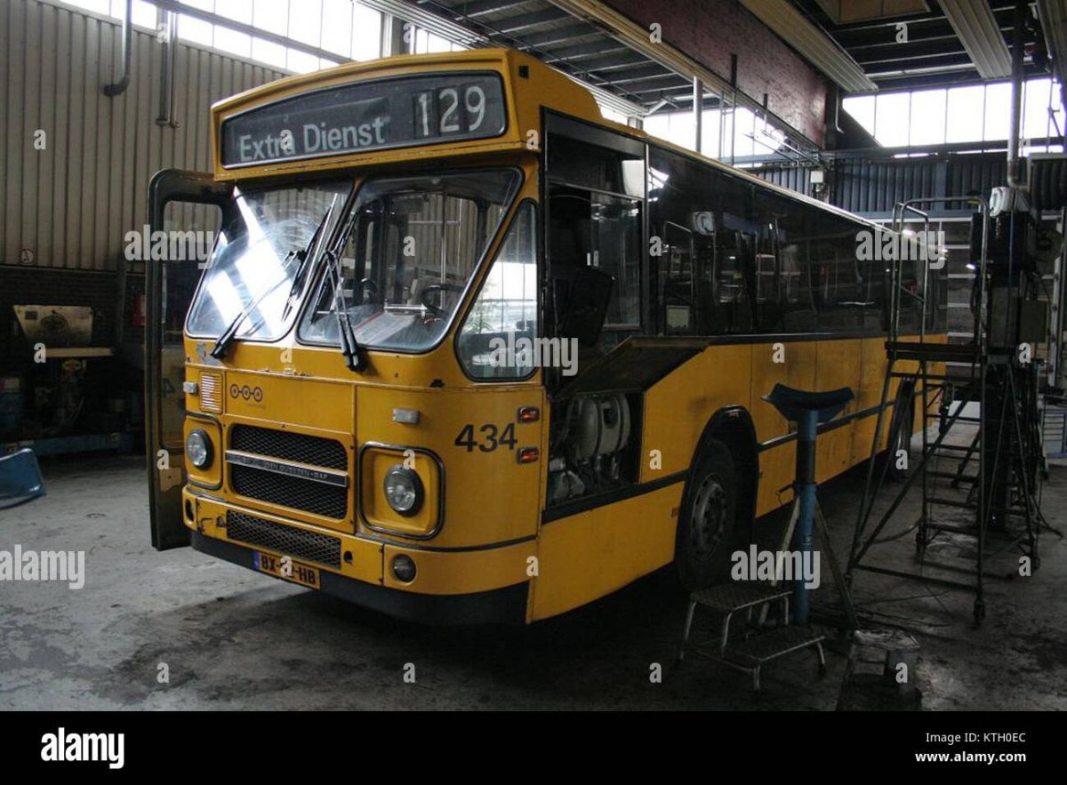 Нидерланды автобус