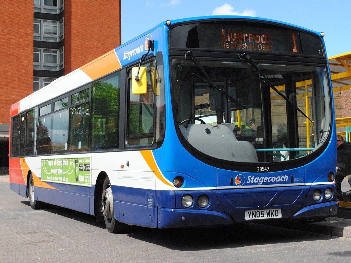 Какие автобусы выпускают шведы