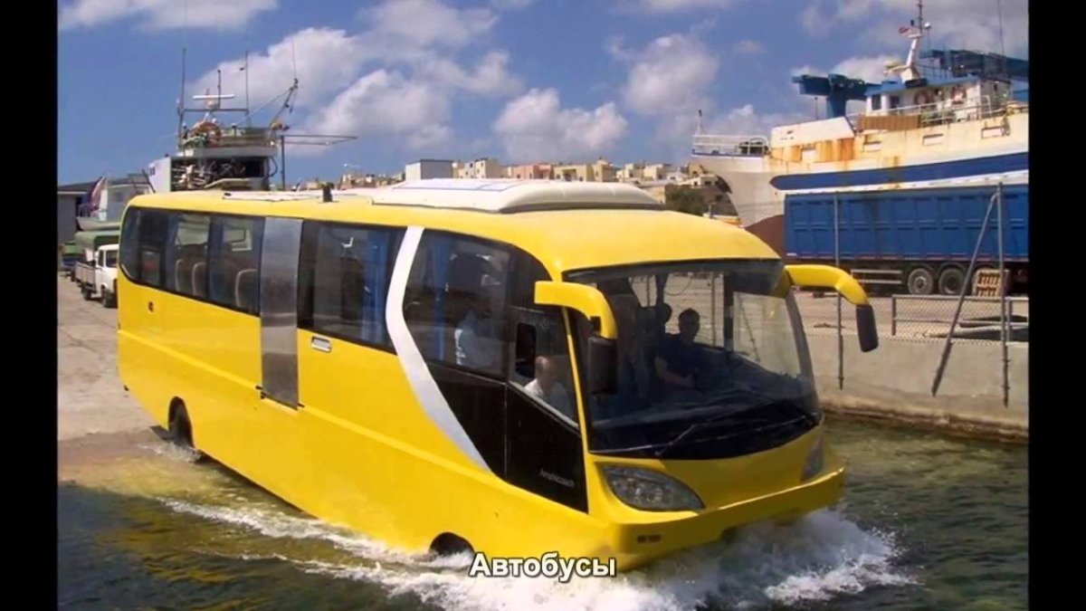 Амфибиус Нидерланды