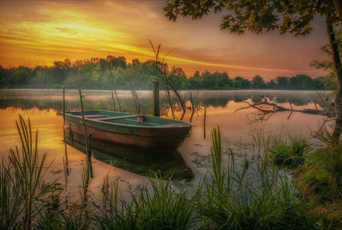 Речной пейзаж