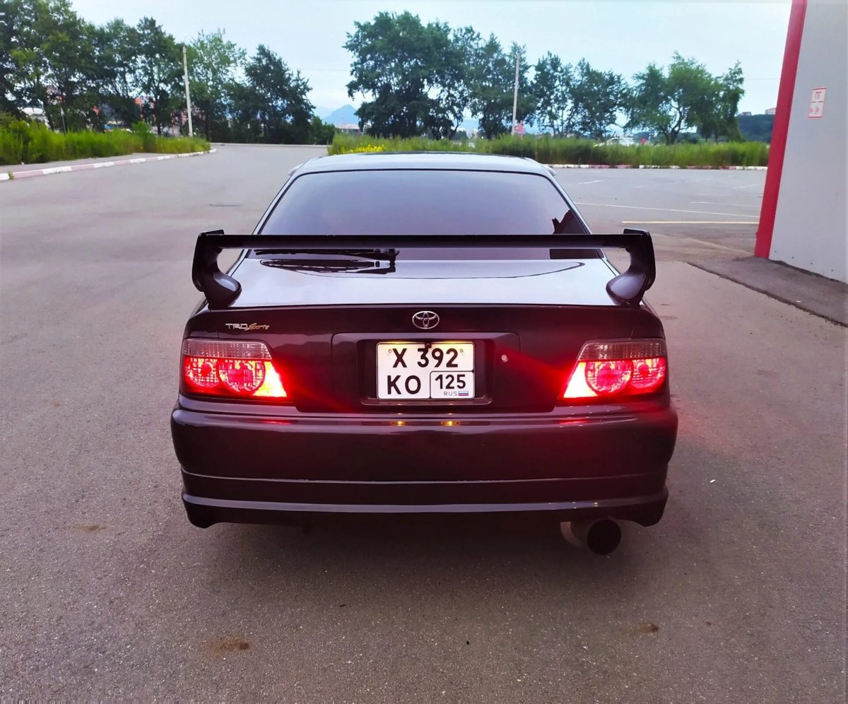 Стопари Чайзер 100