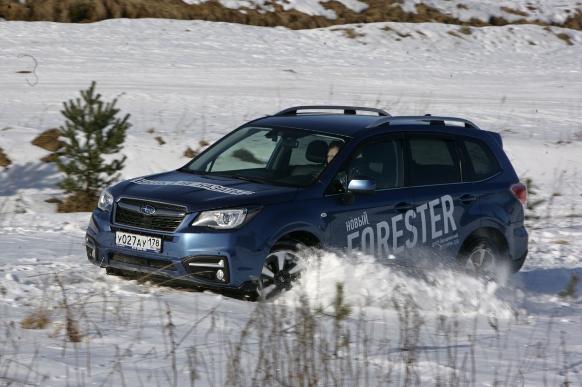 Аутбек или Форестер