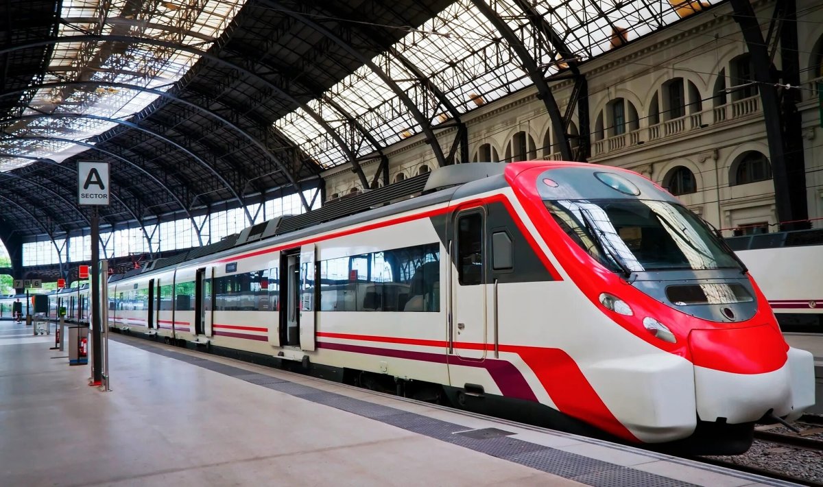 Стриж поезд