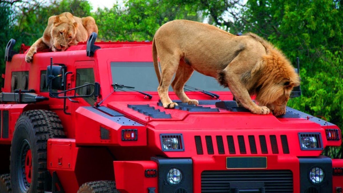 Бронеавтомобиль Мараудер