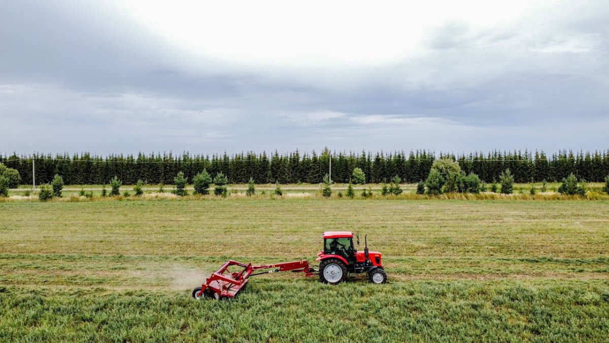 Косилка роторная прицепная Berkut 3200