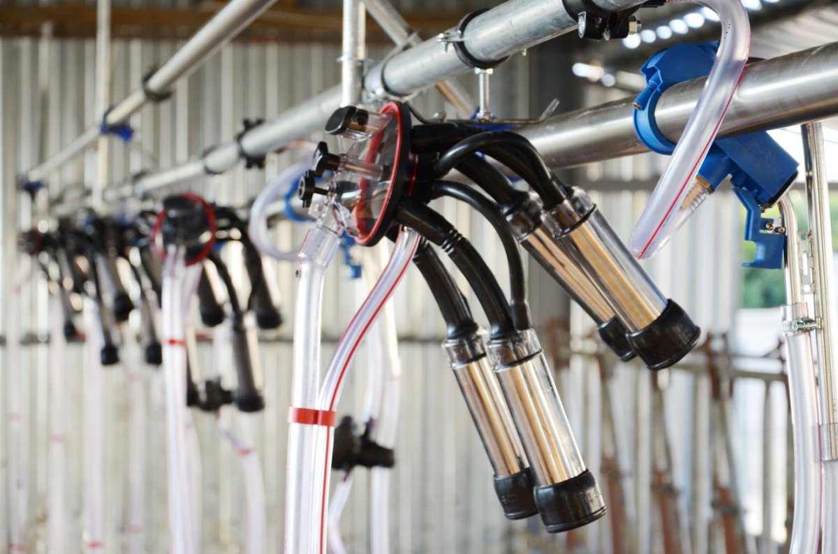 Доильный аппарат Дуовак 300