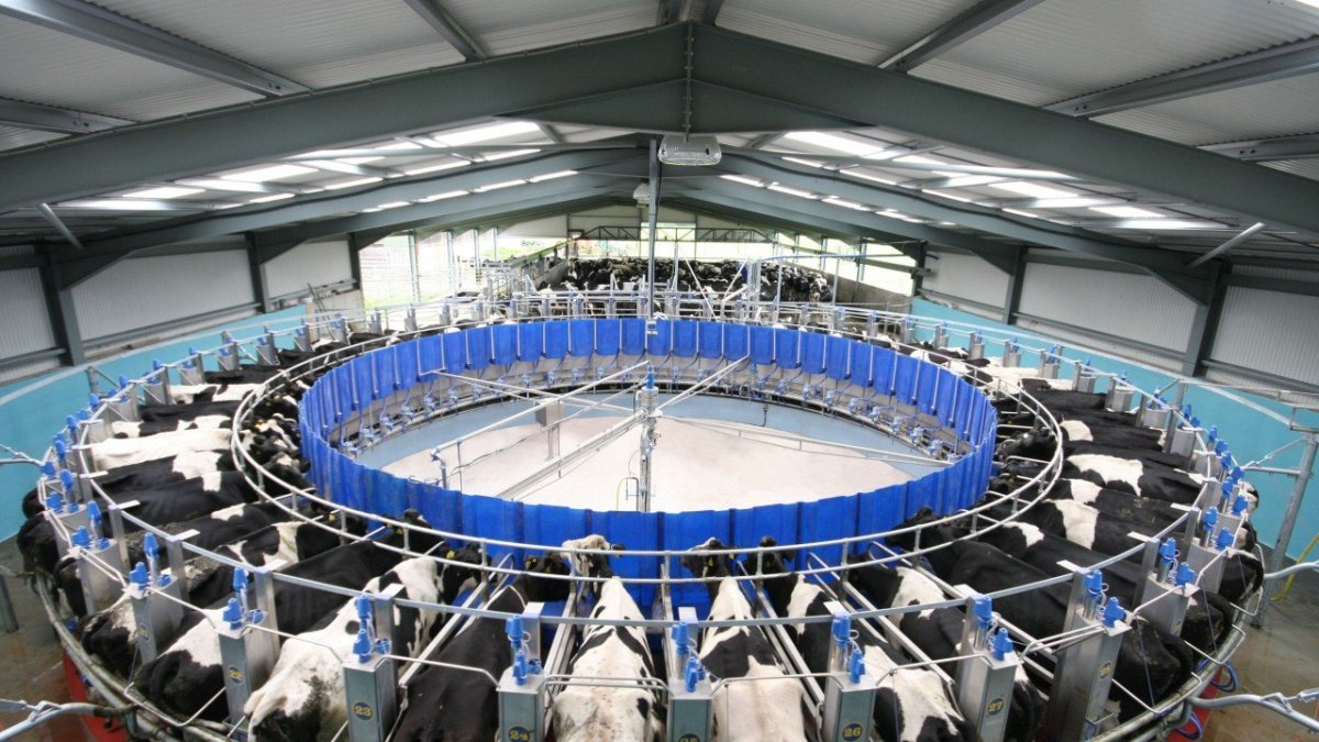 Доильная система для коров Карусель