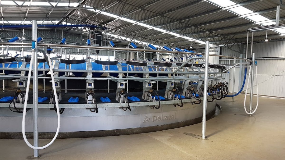 Доильный зал ДЕЛАВАЛЬ