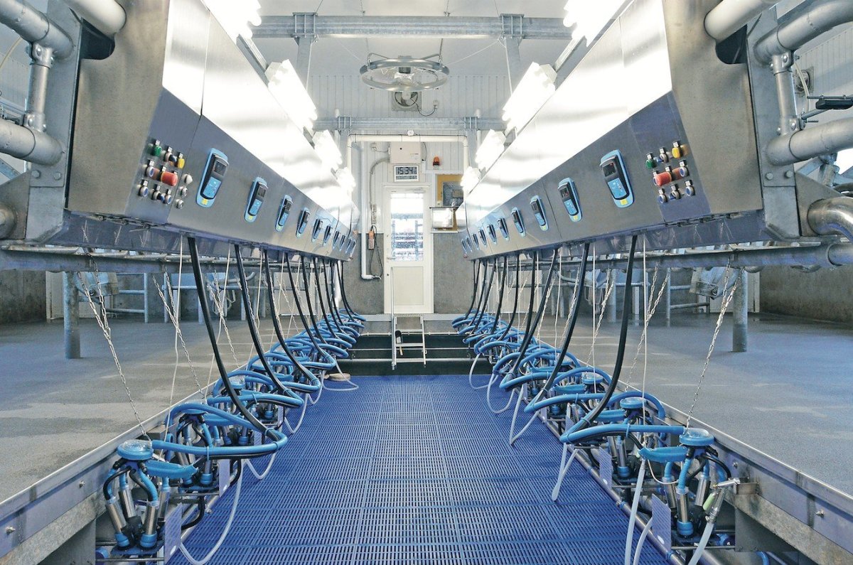 Доильный зал параллель 2х16