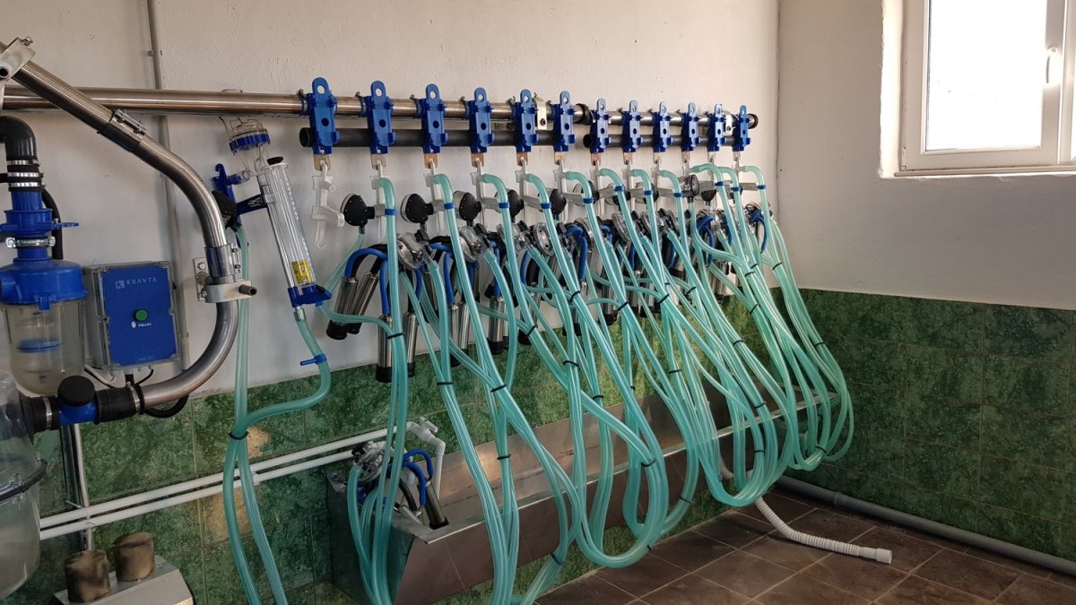 Молокопровод ДЕЛАВАЛЬ на 200 голов