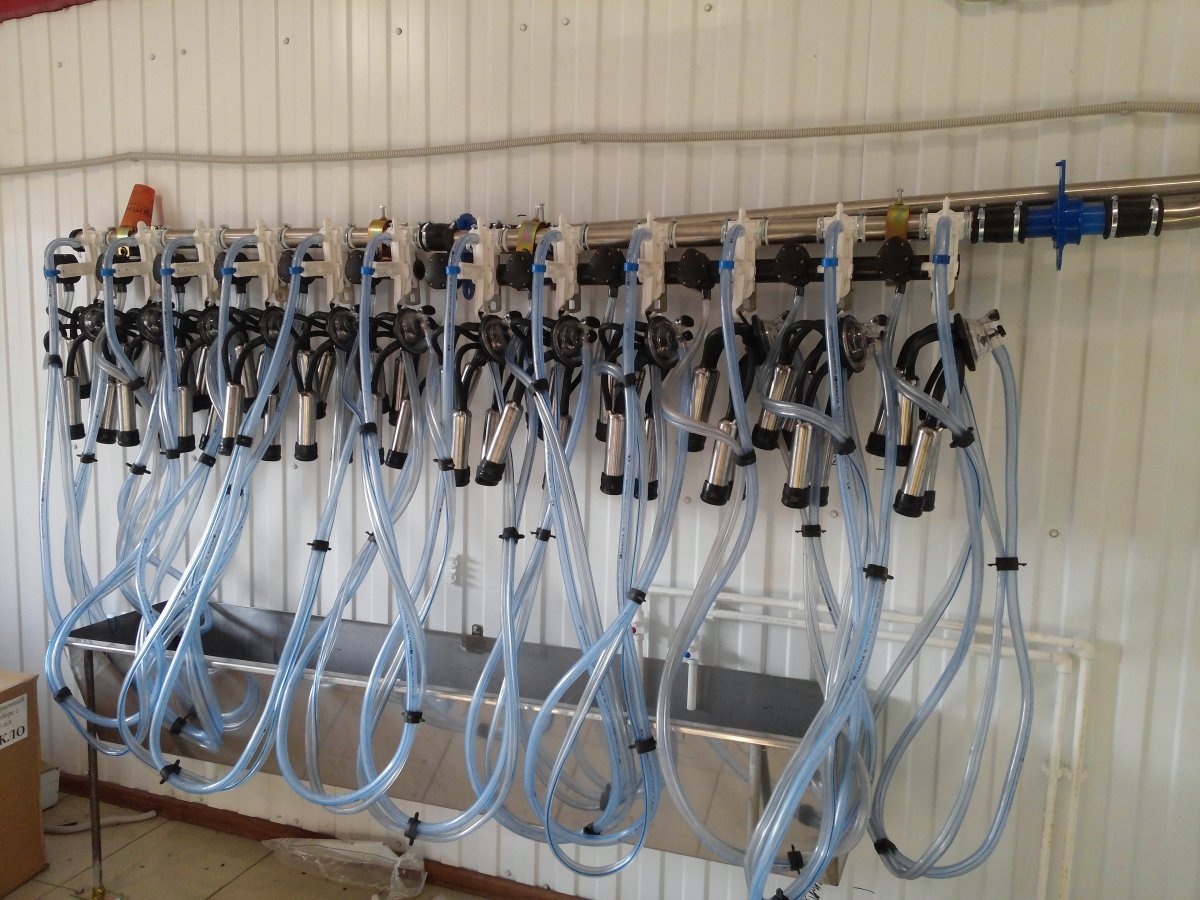 Доильный аппарат в молокопровод