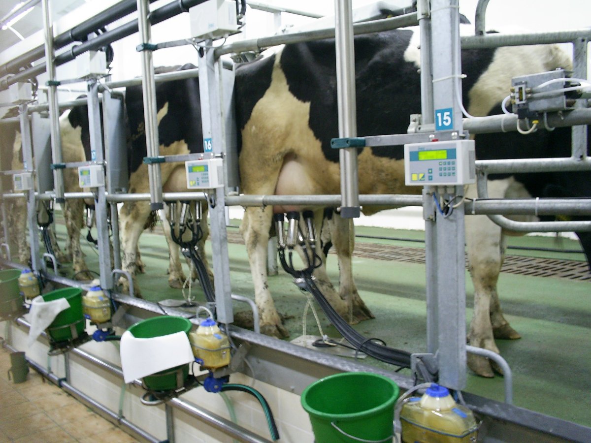 Доильный аппарат для коров ДЕЛАВАЛЬ