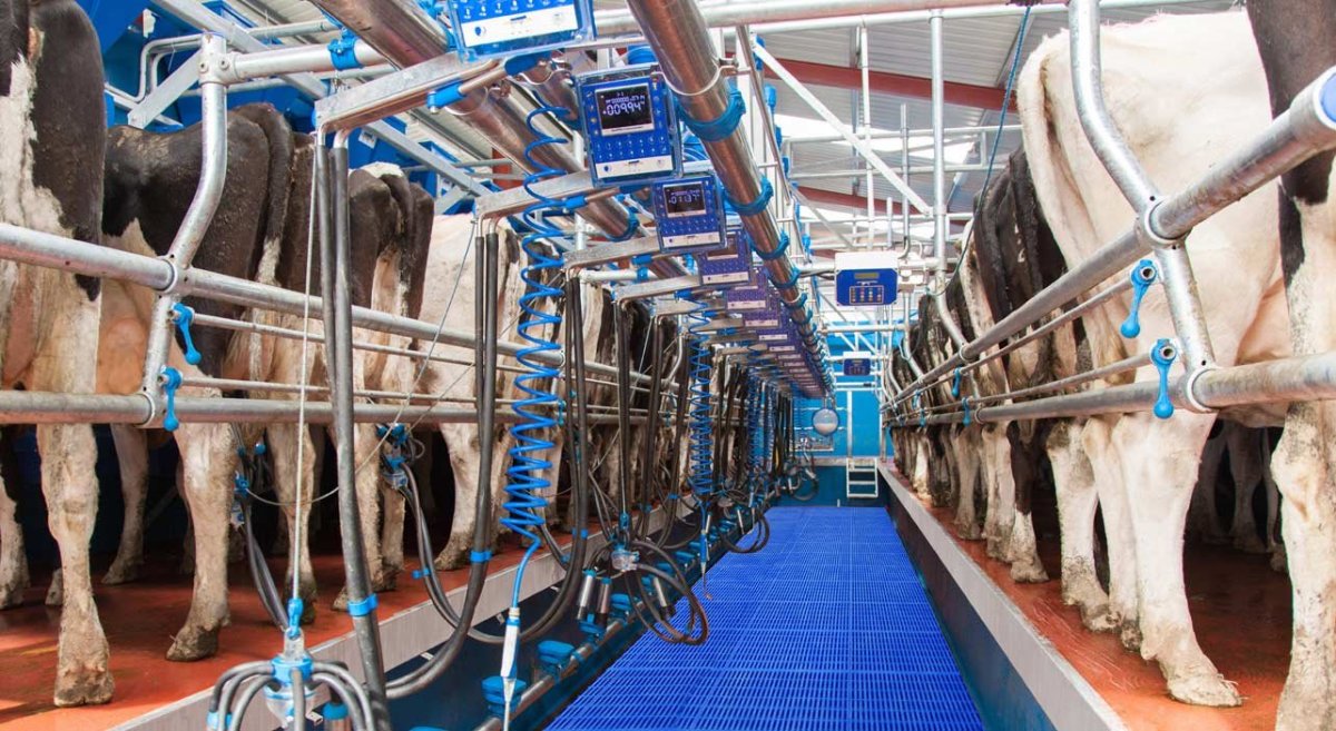 Dairymaster доильное оборудование