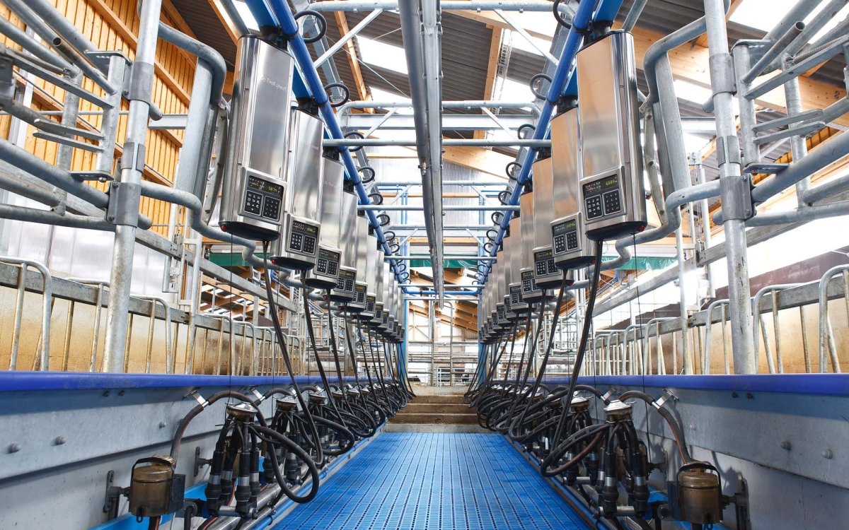 Доильный зал елочка ДЕЛАВАЛЬ