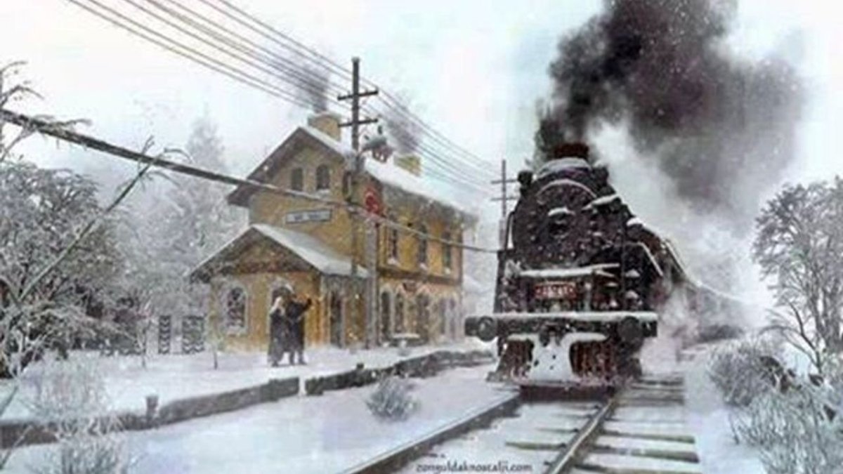 Шалаев художник паровоз