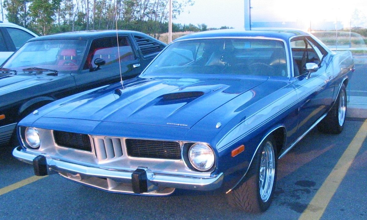 Инспектор Барракуда фото