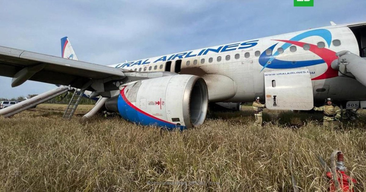 Уральские авиалинии самолет в поле под Новосибирском