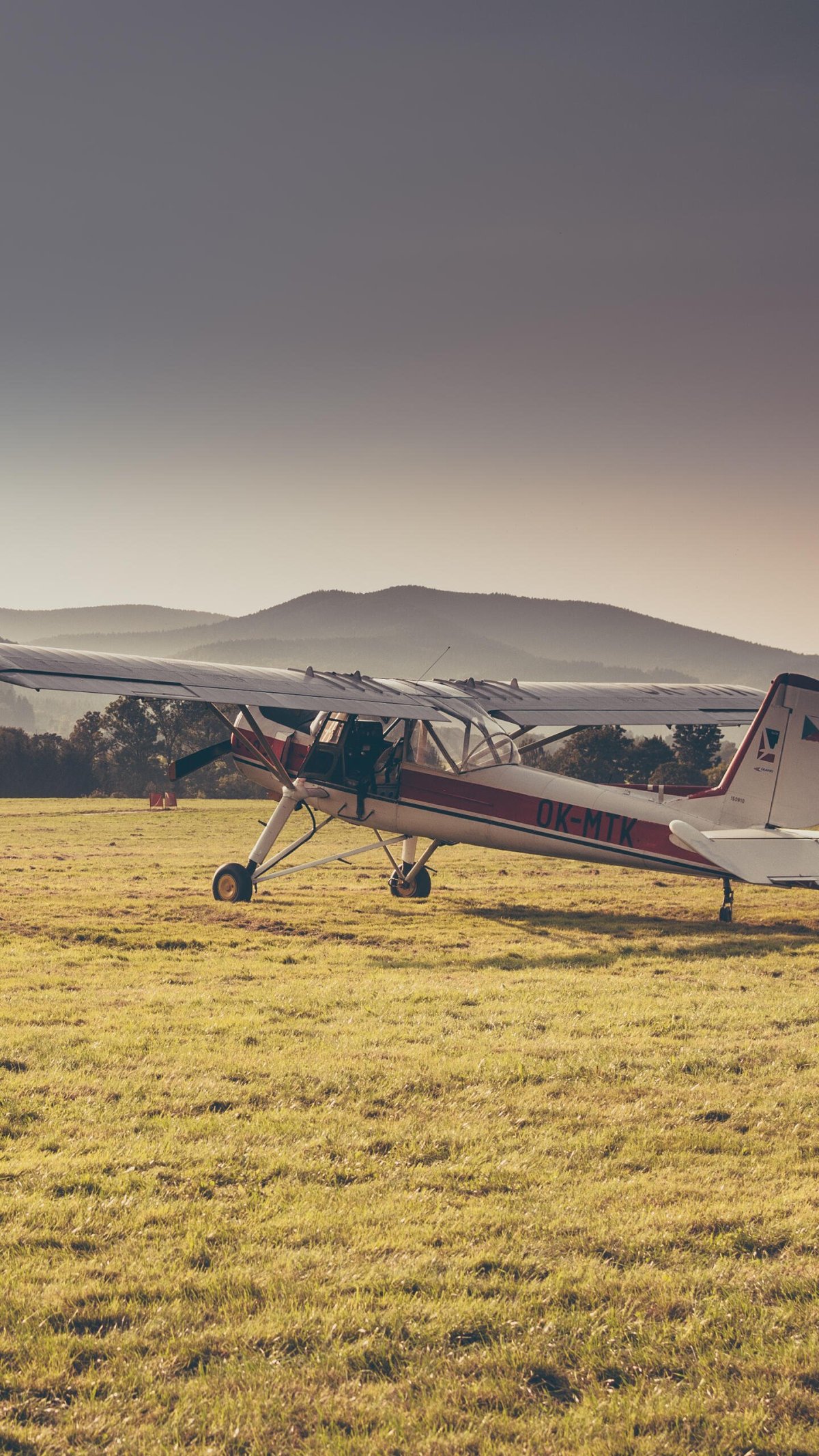 Кукурузник в поле