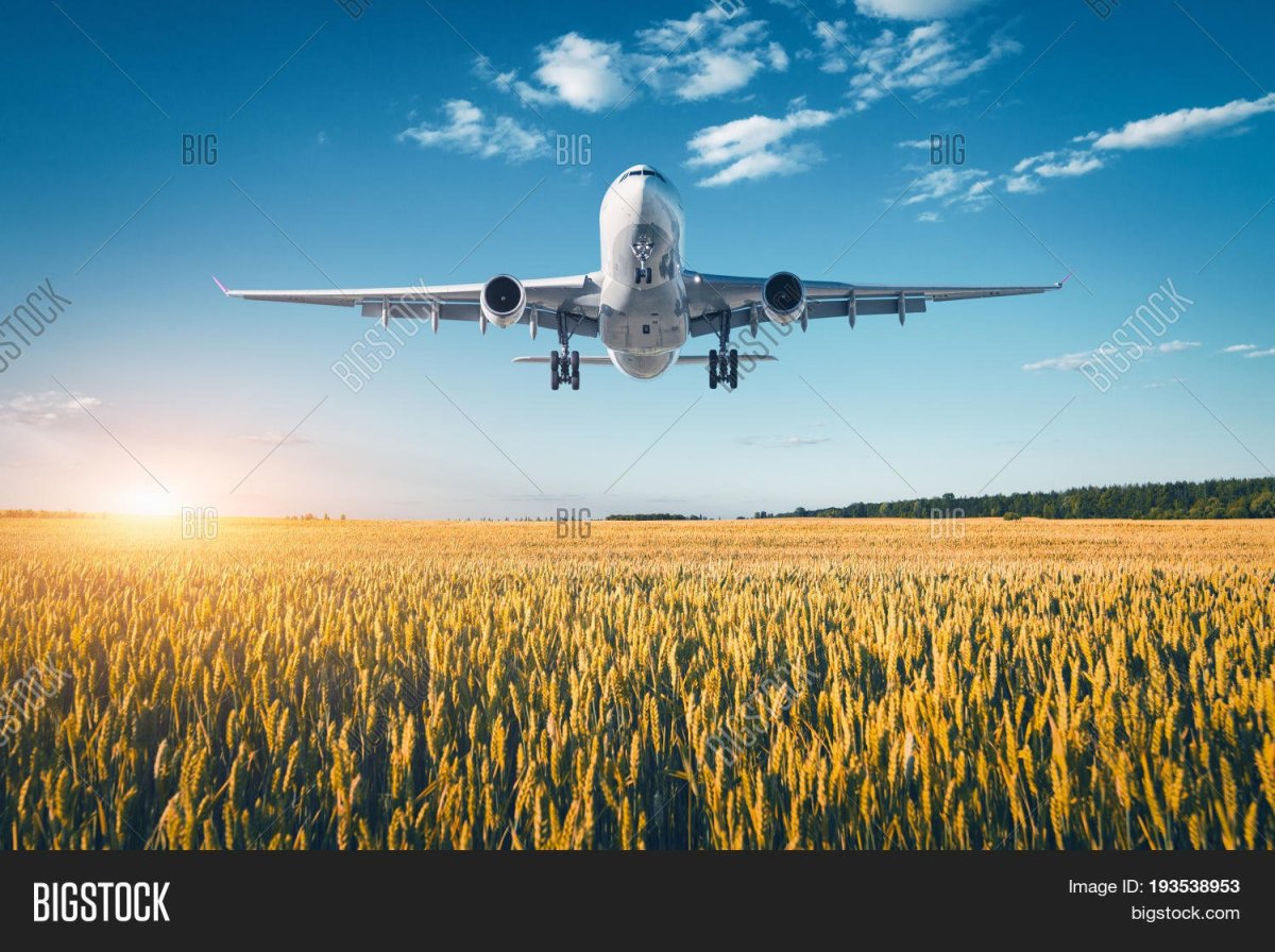 Самолёт над полем пассажирский