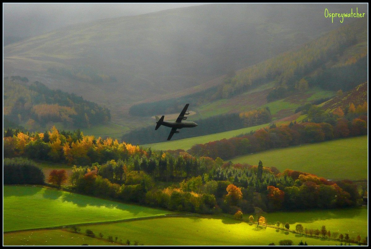 Самолет и природа