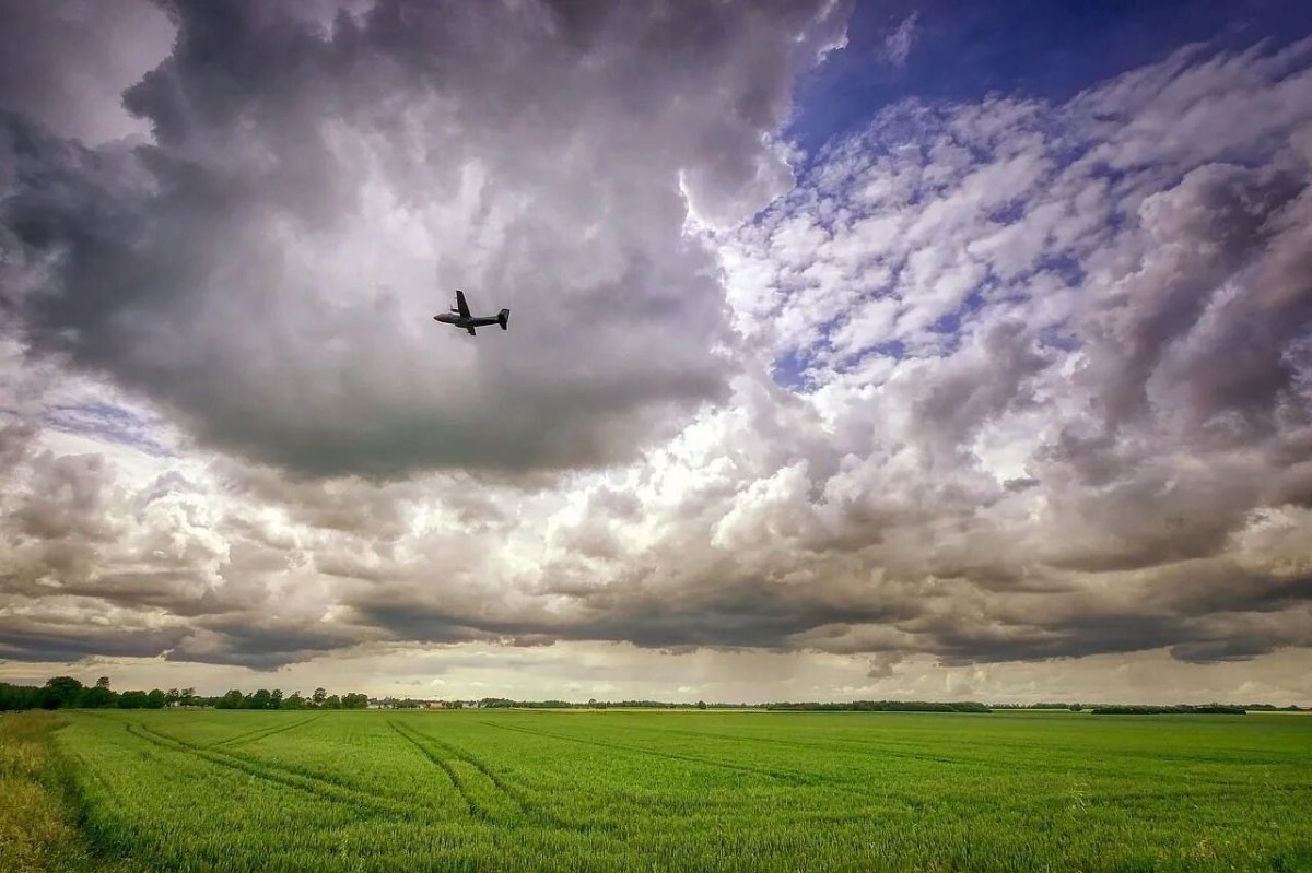 Пейзаж с самолетом
