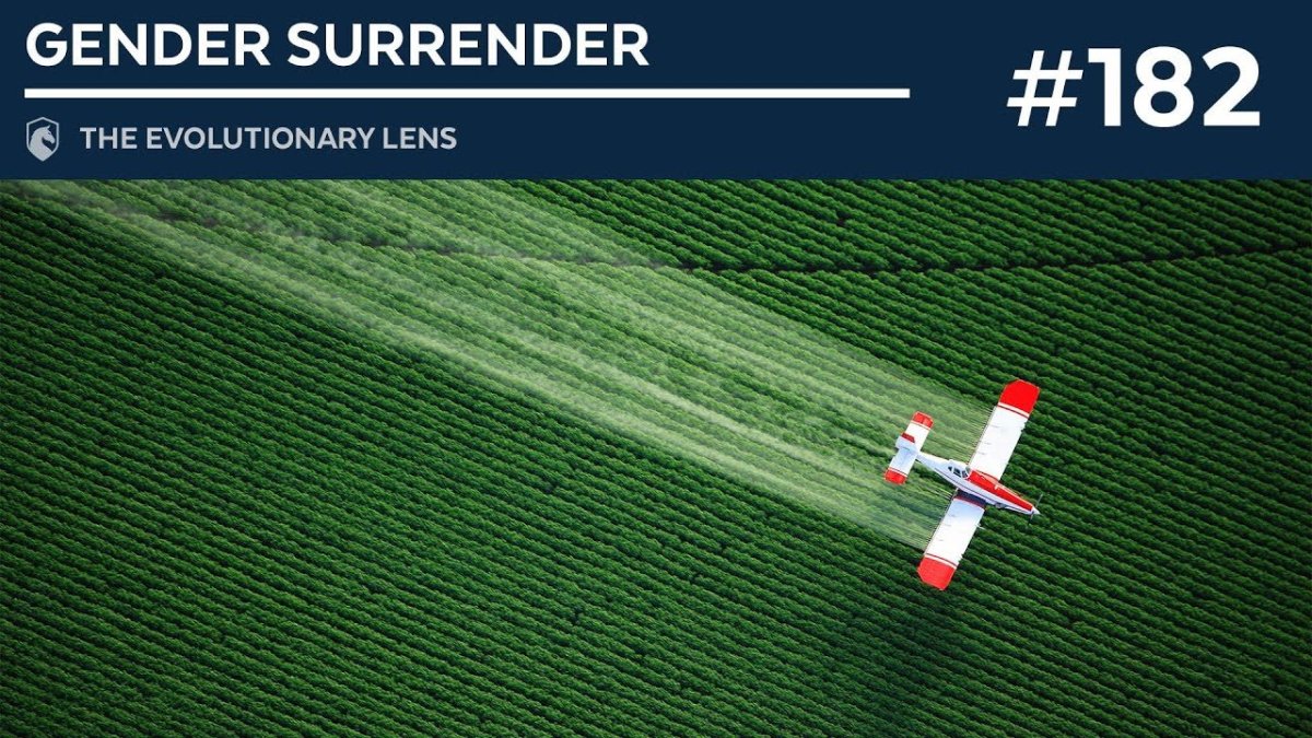 Распыление удобрений с самолетов