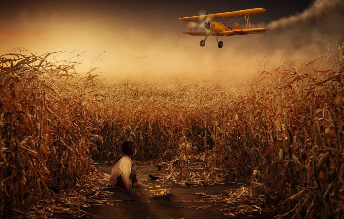 Кукурузное поле