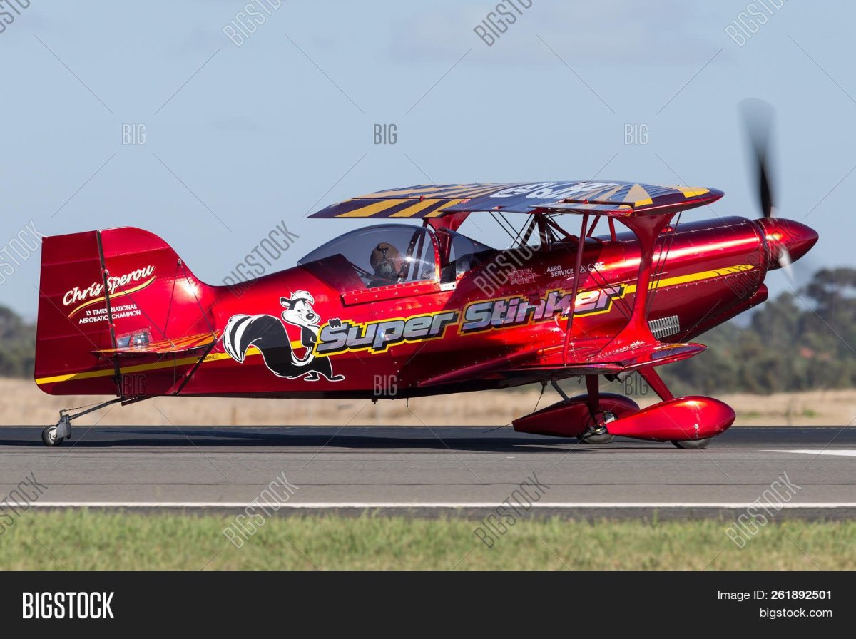 Фото чемпионов по авиашоу на Питтс спешл