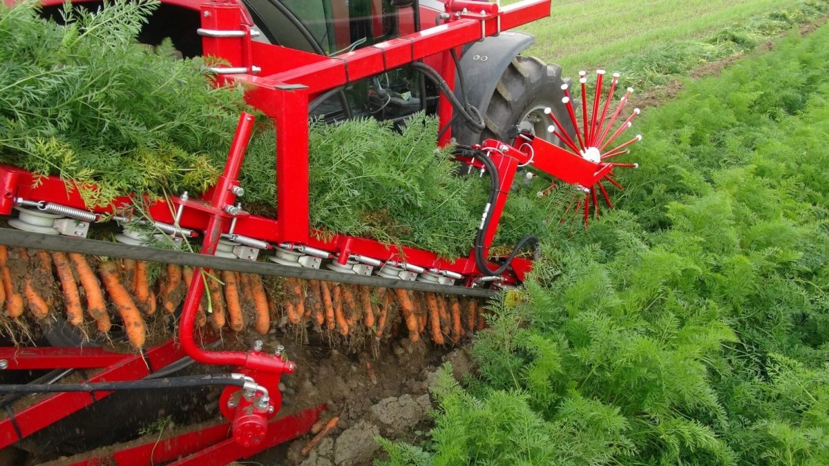 Морковоуборочный комбайн Alina