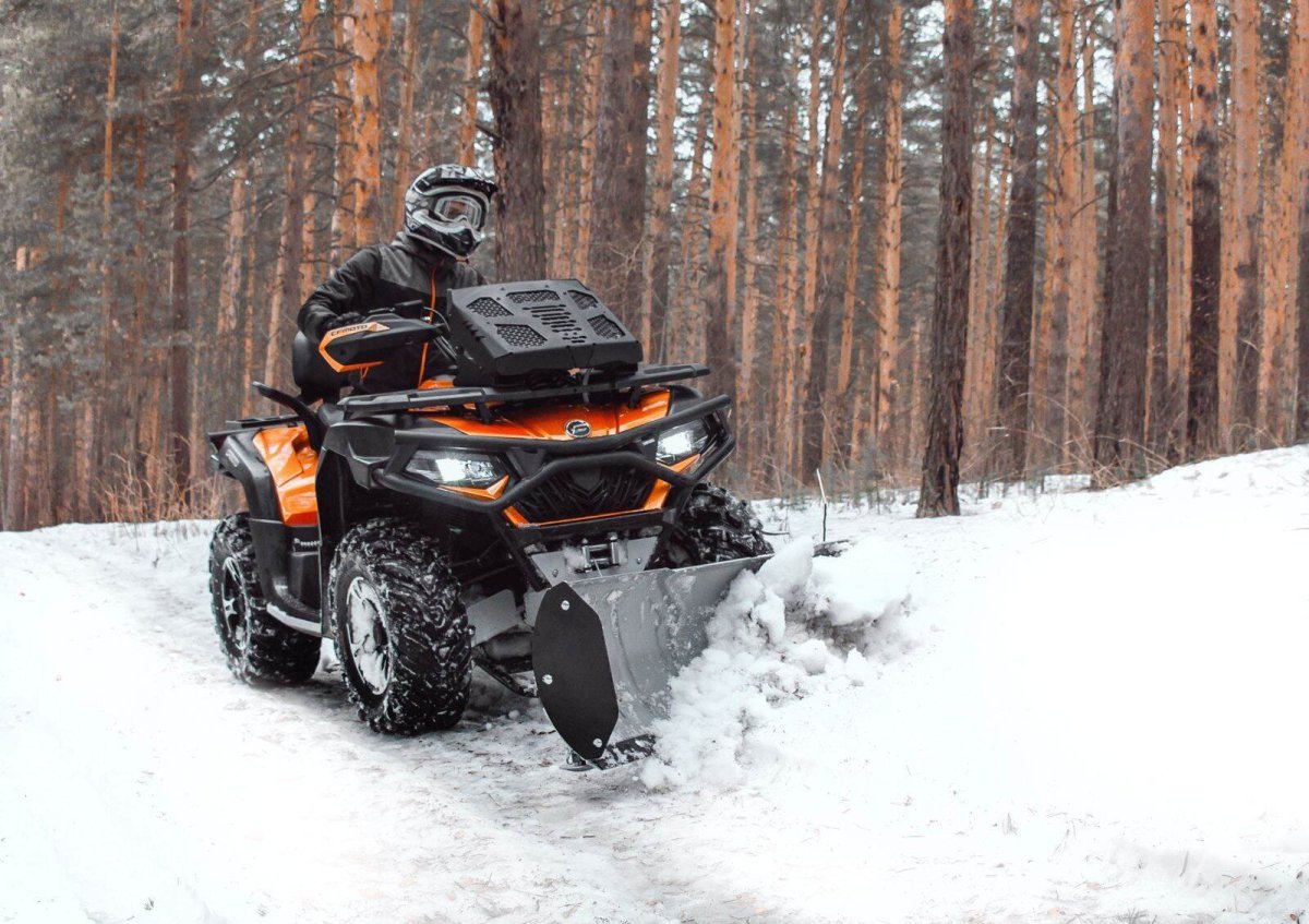 Риваль Квик