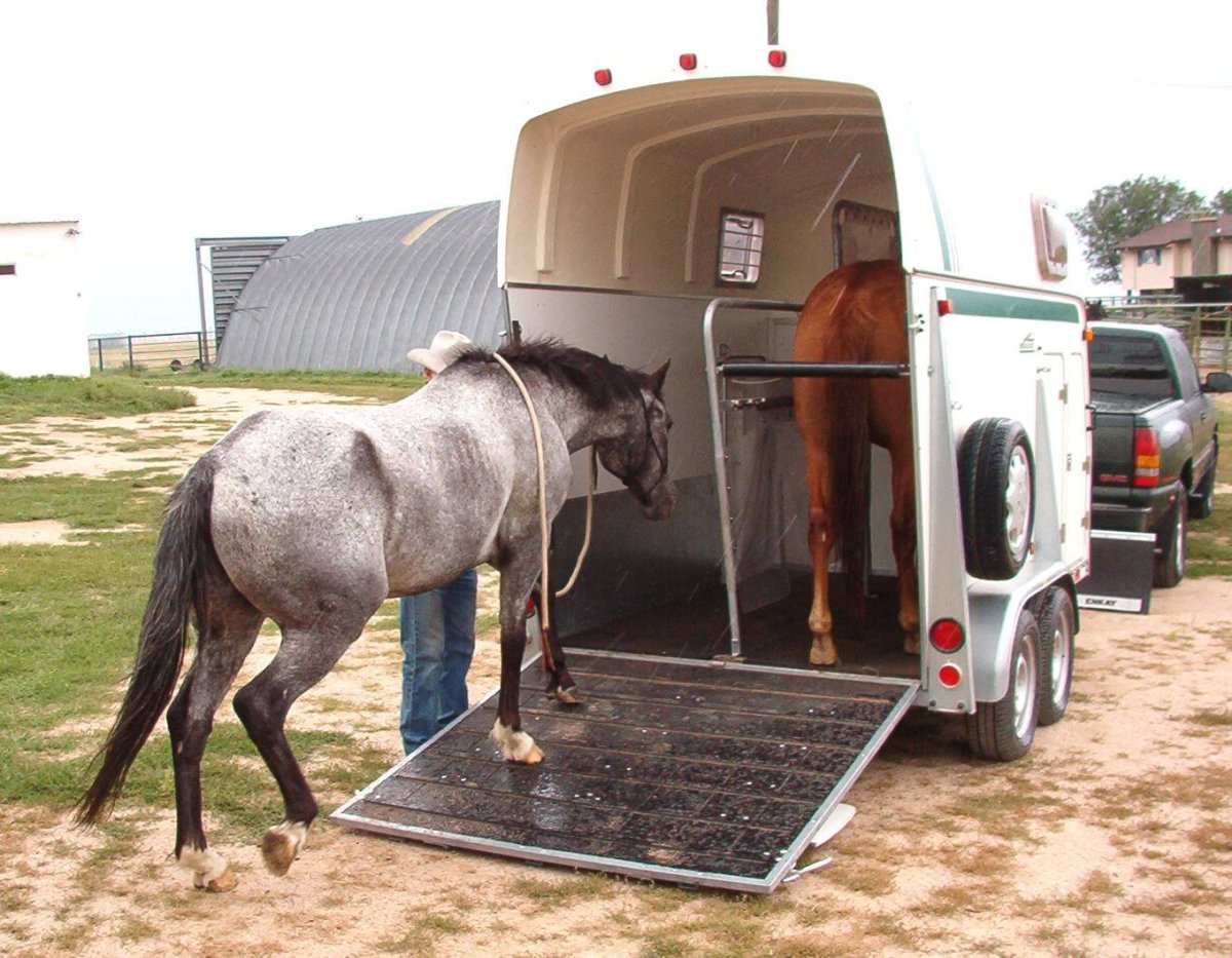 Прицеп для лошадей