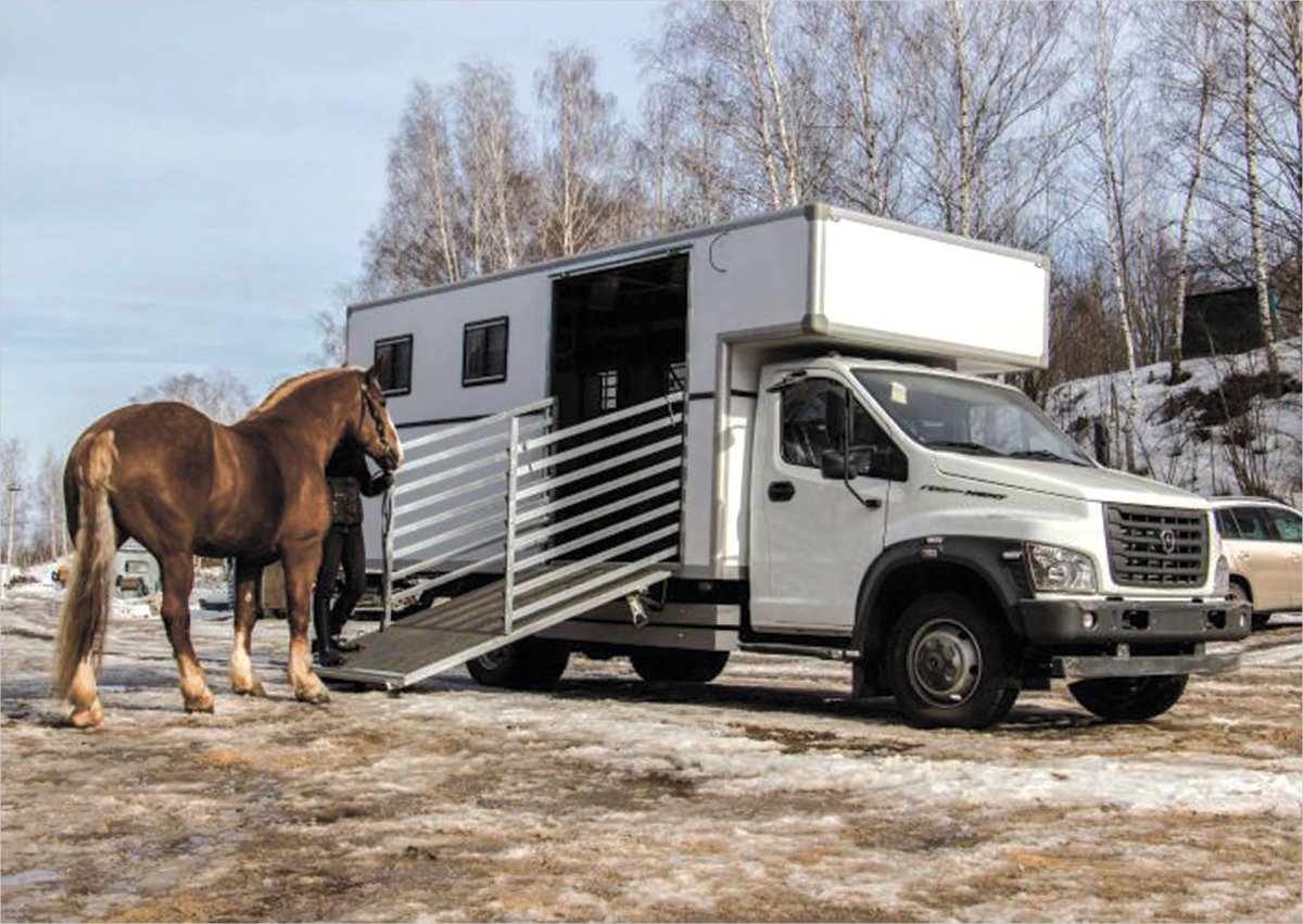 Газон Некст фургон коневоз