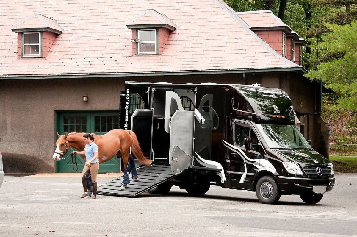 Коневоз Мерседес