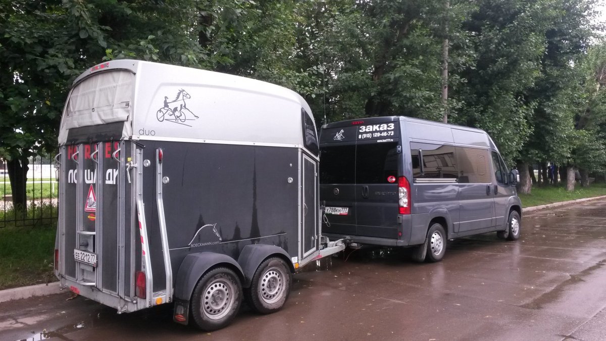 Пежо боксер коневозка