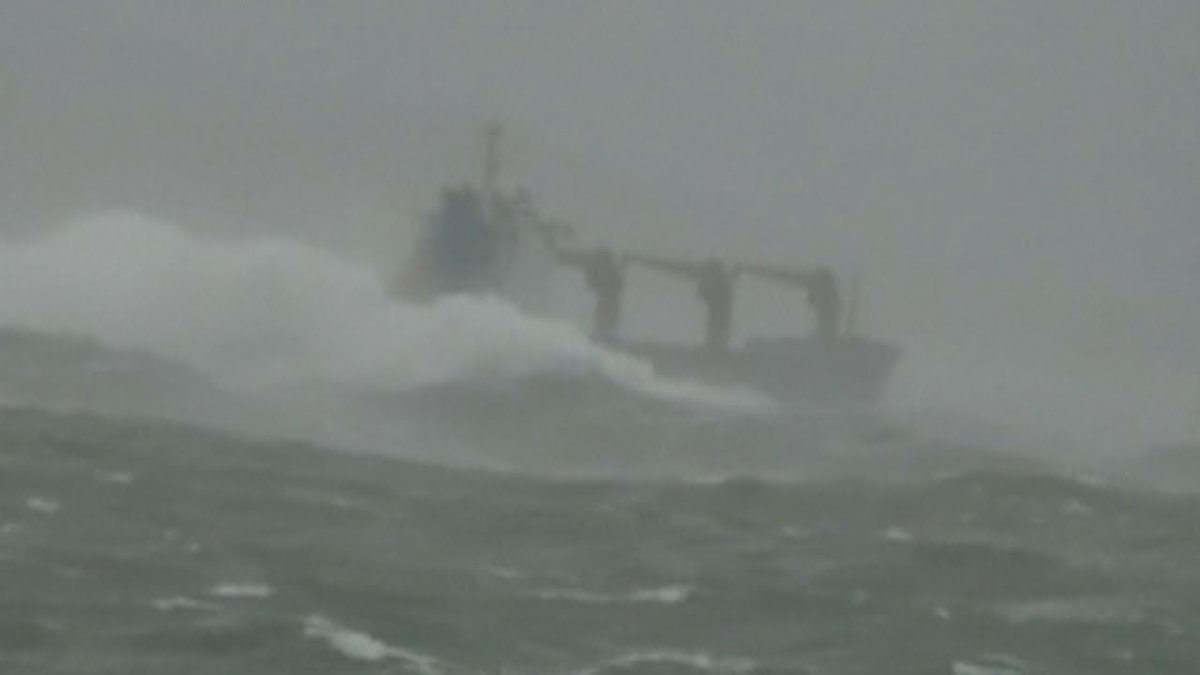 Сухогруз Паллада