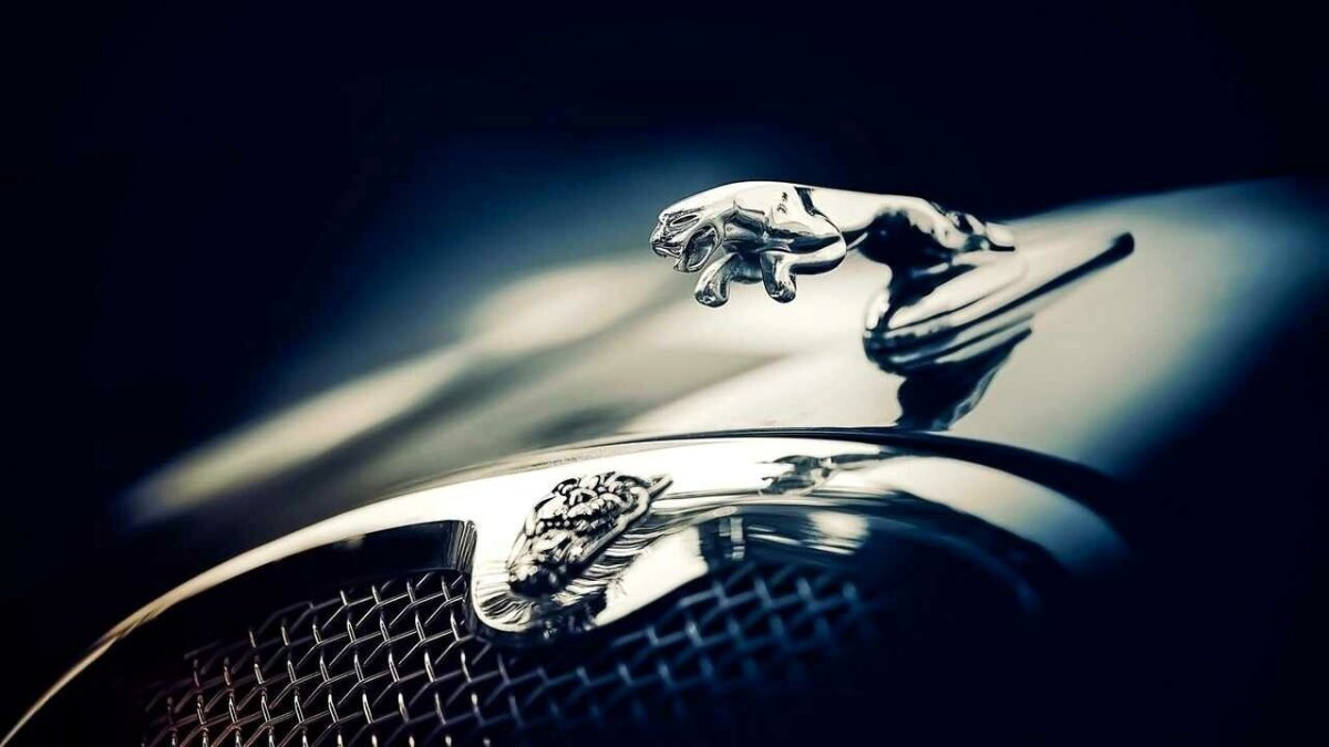 Ягуар машина